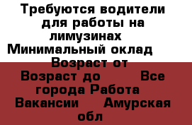 Требуются водители для работы на лимузинах. › Минимальный оклад ­ 40 000 › Возраст от ­ 28 › Возраст до ­ 50 - Все города Работа » Вакансии   . Амурская обл.